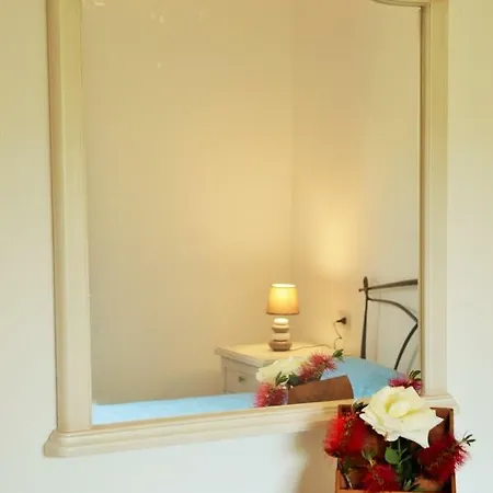 Petrus Vacanze * Camisa