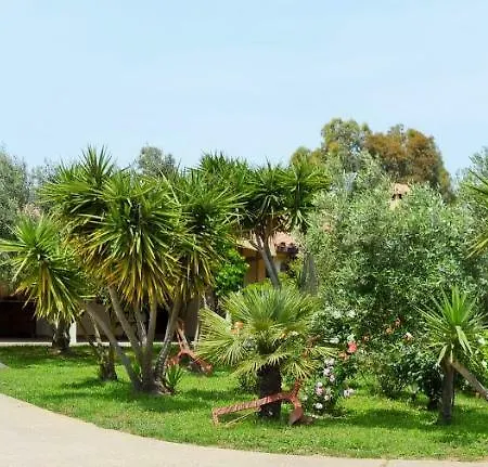 Petrus Vacanze Camisa