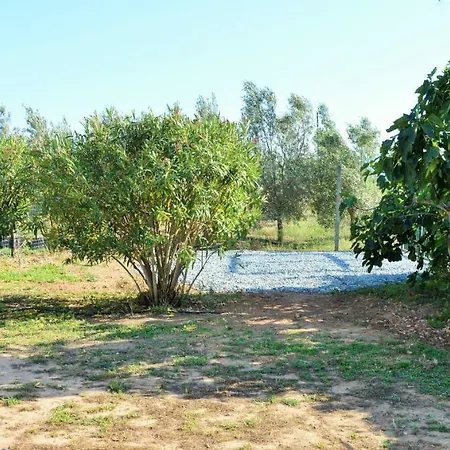 Petrus Vacanze * Camisa